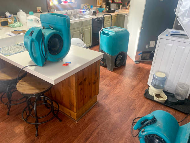 Best 24/7 water damage repair  in Evart, MI