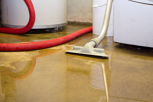 Best Flood damage cleanup  in Evart, MI